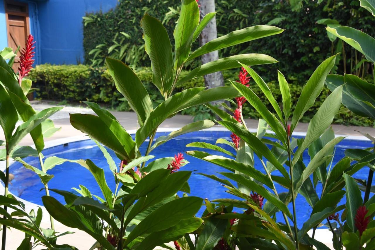 Pousada Verano São Sebastião Exterior foto